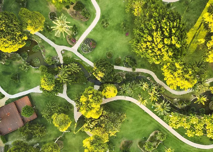 Hotel Don Carlos Resort&spa 5*